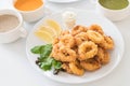 Fried squid calamari rings Royalty Free Stock Photo