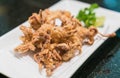 fried squid (calamari rings)