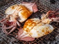 Fried squid and octopus on the grill Royalty Free Stock Photo