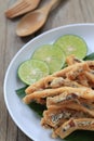 fried squid of Thai seafoods in the white dish on wood floor. Royalty Free Stock Photo