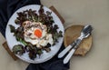 Fried squids eggs on Fried Egg to put it on top of Fresh vegetables on White ceramic plate. Selective Focus Royalty Free Stock Photo