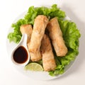 Fried sring roll Royalty Free Stock Photo