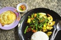 Fried stir spicy sea food with steamed rice and fried egg Royalty Free Stock Photo