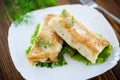 Fried stuffed spring rolls on a plate