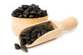 Fried sunflower seeds in wooden plate and spoon on a white, close up. Royalty Free Stock Photo