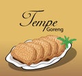 fried tempeh illustration image
