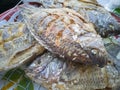 Fried Tilapia Fish placed on grille.