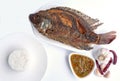 Fried tilapia fish with spicy sauce. Top view. Royalty Free Stock Photo