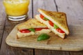 Fried toast sandwich with mozzarella Royalty Free Stock Photo