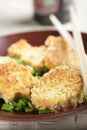 Fried tofu Royalty Free Stock Photo