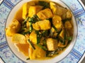 Fried tofu with bean sprouts, food for health conscious people Royalty Free Stock Photo