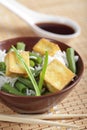 Fried tofu with rice and vegetables