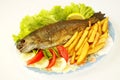Fried trout Royalty Free Stock Photo