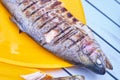 Fried trout grill on the plate Royalty Free Stock Photo