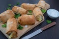Fried Turkish Cigar Shaped Rolls - Spring roll Sigara Borek Royalty Free Stock Photo