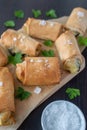Fried Turkish Cigar Shaped Rolls - Spring roll Sigara Borek Royalty Free Stock Photo
