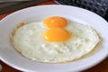 Fried twin egg on a plate Royalty Free Stock Photo