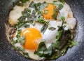 Fried two eggs with fresh green basil leaves Royalty Free Stock Photo