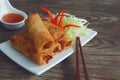 Fried vegetable spring rolls with fresh ingredients served with sweet chili sauce. Royalty Free Stock Photo