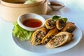 Fried vegetable spring rolls served with sweet chili sauce Royalty Free Stock Photo