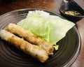 Fried vietnamese spring rolls with sweet chili dip sauce aside. Royalty Free Stock Photo