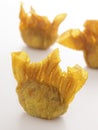 Fried wantons Royalty Free Stock Photo
