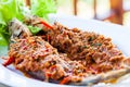 Fried whisker sheat fish with chili sauce Royalty Free Stock Photo