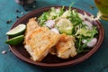 Fried white fish fillet and cucumber and radish salad Royalty Free Stock Photo