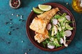 Fried white fish fillet and cucumber and radish salad. Royalty Free Stock Photo