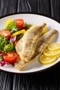 Fried zander fillet served with fresh salad closeup in a plate. vertical Royalty Free Stock Photo
