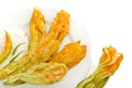 Fried zucchini flowers isolated Royalty Free Stock Photo