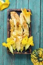 Fried stuffed zucchini flowers Royalty Free Stock Photo