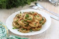 Fried zucchini on the plate Royalty Free Stock Photo