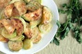 Fried zucchini slices on white plate with greens Royalty Free Stock Photo