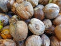 Friedrich coconuts fruit Royalty Free Stock Photo