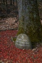 Friedrich Ludwig Jahn Memorial Stone Royalty Free Stock Photo
