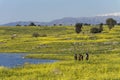 Friend enjoy the golan Heights and hermon mount on the backgound Royalty Free Stock Photo