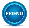 Friend Eyeball Blue Round Button