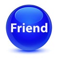 Friend glassy blue round button