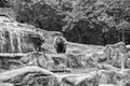 Friendly brown bear walking in zoo. Cute big bear stony landscape nature background. Zoo concept. Animal wild life Royalty Free Stock Photo