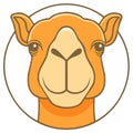 Friendly Camel Face Illustration in Circle Royalty Free Stock Photo