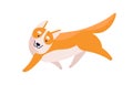 Friendly cartoon welsh corgi dog breed vector flat illustration. Smiling running orange and white colored pet isolated