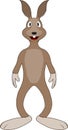 Cartoon of a friendly and cool character bunny Royalty Free Stock Photo