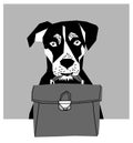 Friendly dog with business case grayscale.