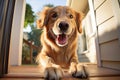 A friendly dog greeting its owner at the door.