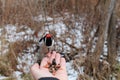 Downey Woodpecker eating from hand