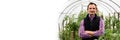 Farmer at work in greenhouse. Royalty Free Stock Photo
