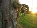 Friendly Fence Royalty Free Stock Photo