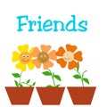 Friendly flowers