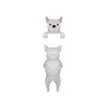 Friendly french bulldog s muzzle with paws. Dog standing on hind legs and peeking out from border, back view. Flat